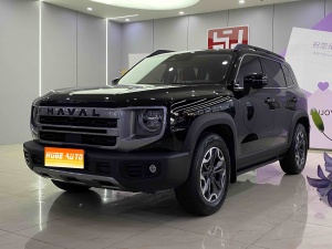 MY2024 Haval Dargo 2.0T DCT Chinese Rural Dog