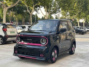 MY2025 Panda 210km Panda Kart