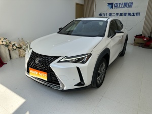 MY2020 Lexus UX NEV 300e Pure Joy
