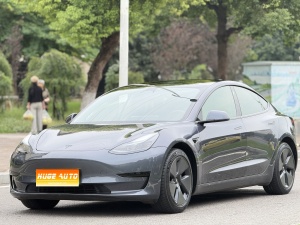 MY2021 Model 3 Standard Range RWD Upgraded 3D6