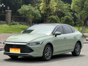 MY2023 Qin PLUS Champion DM-i 120KM Exceed