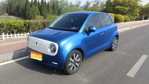 2021款 欧拉黑猫 351km 标准型