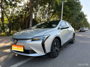 2024款 微蓝6 430km 越享版
