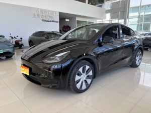 MY2022 Model Y Facelift RWD