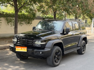 MY2024 TANK 300 2.0T  Conqueror