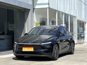 MY2025 Model Y Long range AWD