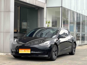 2021款 Model 3 标准续航后驱升级版