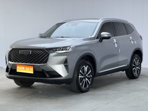MY2024 Haval H6 1.5T 2WD Pro