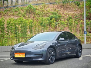 MY2022 Model 3 RWD