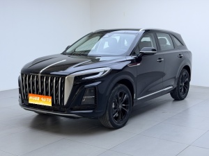 MY2025 Hong Qi HS3 125km Jingwei 2 Million PLUS Units Memorial