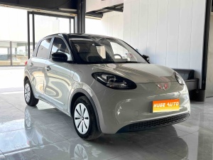 MY2023 Wuling Bingo 333km Ling OS