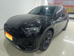 2024款 奥迪Q5L 45 TFSI 豪华动感型