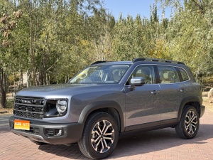 MY2026 Haval Dargo 1.5T DCT Border Collie