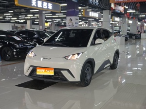 MY2024 Seagull Honor 305km Vitality