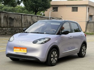MY2025 Wuling Bingo 333km Ling OS Distinguished