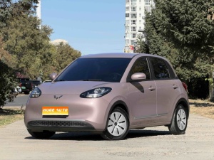 MY2023 Wuling Bingo 203km Slight