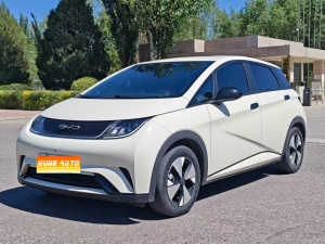 MY2023 Dolphin 420km Free