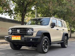 MY2025 TANK 300 NEV Hi4-T 37.1kWh