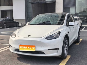 2021款 Model Y 标准续航后驱版
