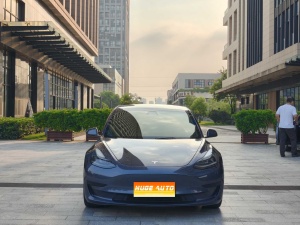 MY2021 Model 3 Standard Range RWD Upgraded 3D6