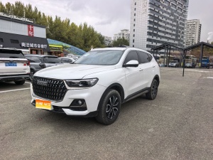 MY2023 Haval H6 China-chic 1.5T AT City