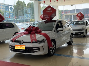 2025款 高尔夫 300TSI Pro