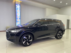 MY2024 Tang DM-i Honor 112KM Distinguished