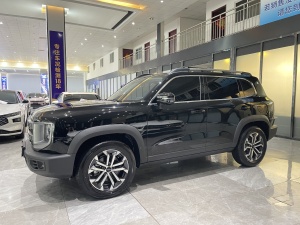 MY2024 Haval Dargo 1.5T DCT Border Collie