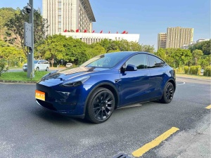 2022款 Model Y 改款 长续航全轮驱动版