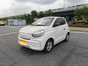 MY2021 CLEVER 302km New 4-Seat Super Power 
