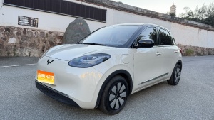 2025款 五菱缤果 333km 悦享款