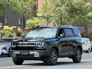 MY2024 Beijing BJ30 1.5T Light Off-Road Pro