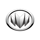 NLM