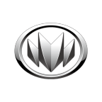 NLM