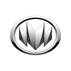 NLM