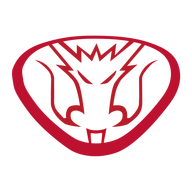 Kinglong Coach