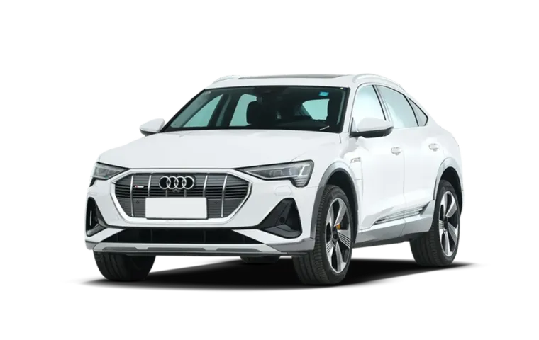 Audi e-tron(Imported)