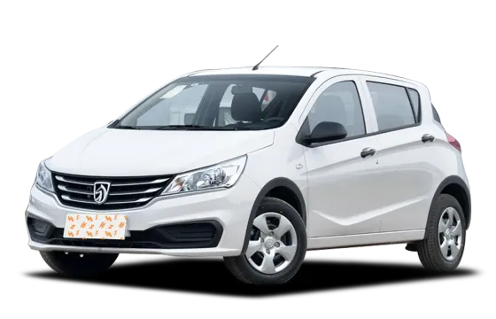 BAOJUN 310