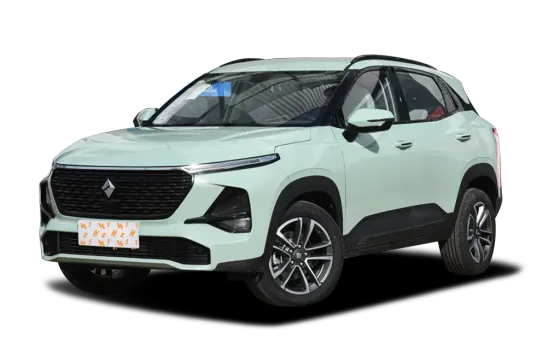 BAOJUN RS-3
