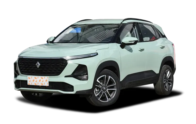 BAOJUN RS-3