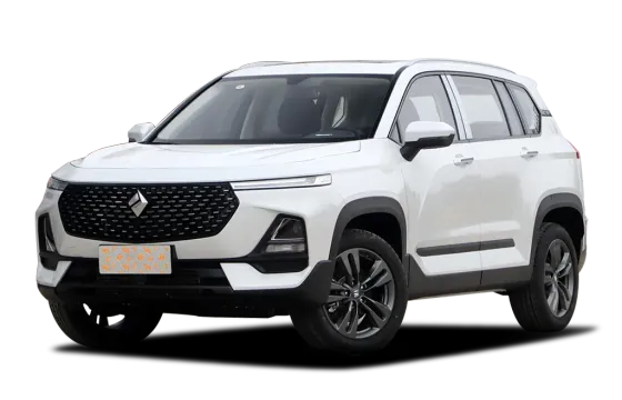 BAOJUN RS-5
