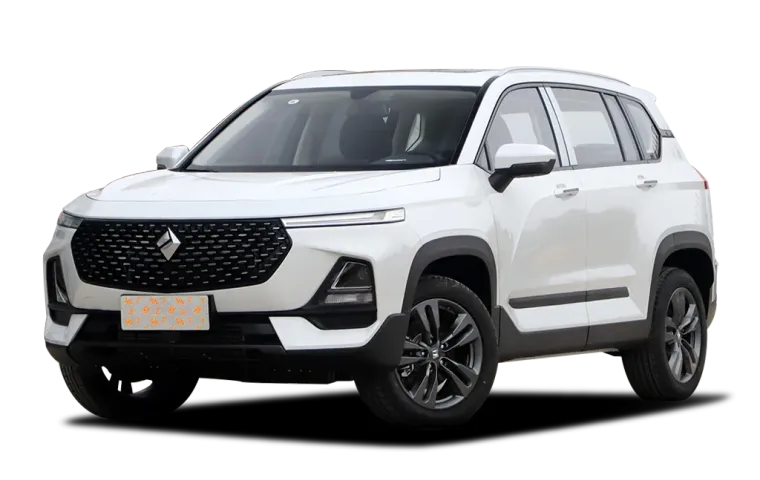 BAOJUN RS-5