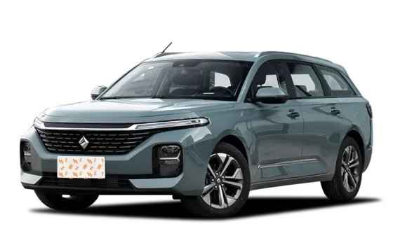 BAOJUN Valli