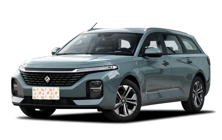 BAOJUN Valli