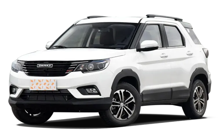 BISU T3
