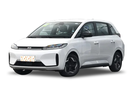 BYD D1