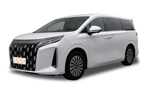 BYD M9