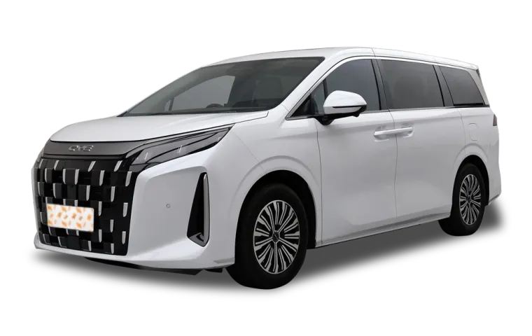 BYD M9