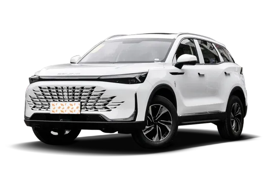 Beijing X7