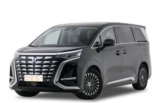 DENZA D9
